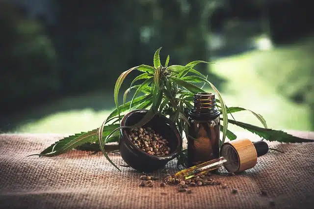 L’avenir du CBD dans l’industrie cosmétique : tendances et innovations