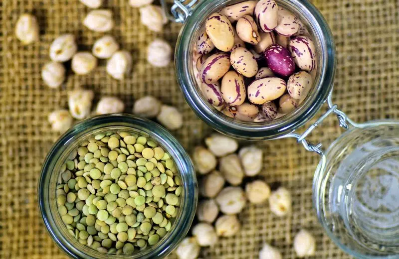 Pourquoi les lentilles sont-elles meilleures que les haricots dans un régime hypoglucidique ?