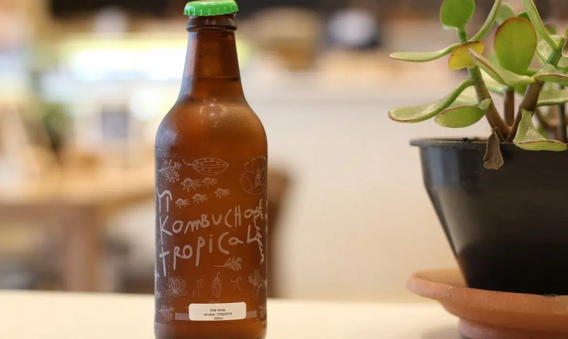 Comment le Kombucha agit-il sur l’organisme ?