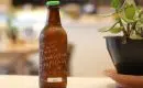 Comment le Kombucha agit-il sur l’organisme ?