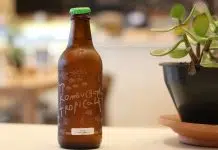 Comment le Kombucha agit-il sur l’organisme ?