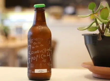 Comment le Kombucha agit-il sur l’organisme ?