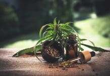 Quels sont les bienfaits du CBD ?