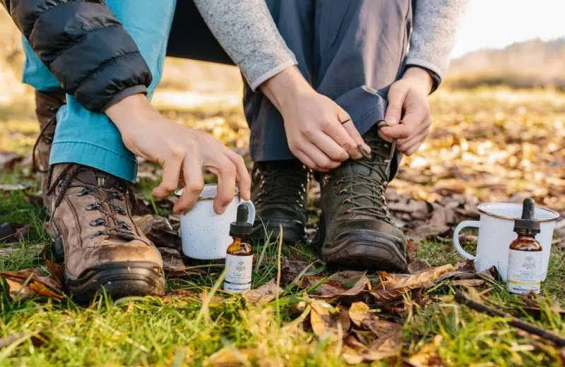 Produits CBD : les formes les plus concentrées en cannabidiol