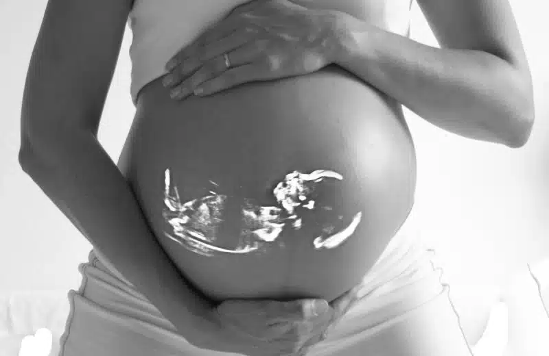 Le processus de développement du fœtus durant la grossesse : tout ce que vous devez savoir