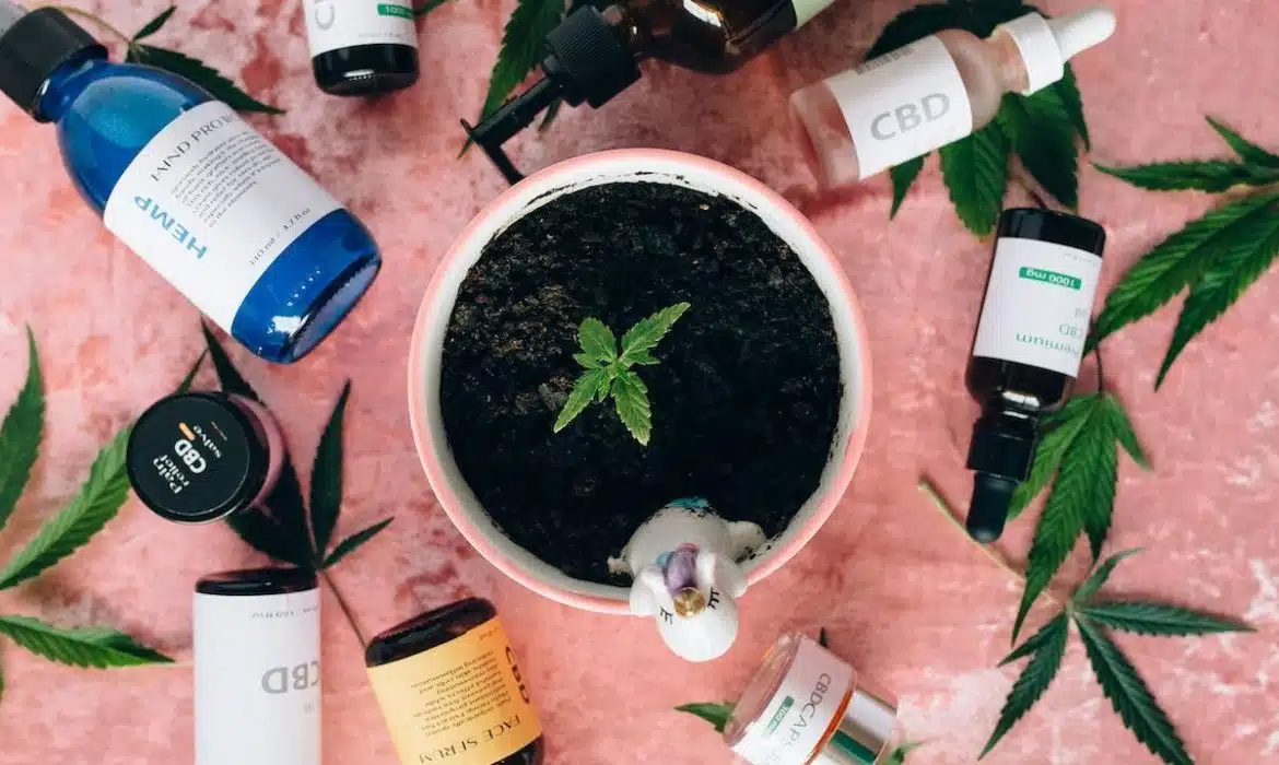 Les conseils d’experts pour optimiser vos ventes de CBD en France
