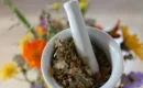Naturopathe niort : santé holistique et conseils personnalisés