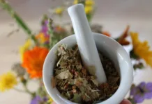 Naturopathe niort : santé holistique et conseils personnalisés