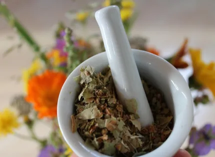 Naturopathe niort : santé holistique et conseils personnalisés