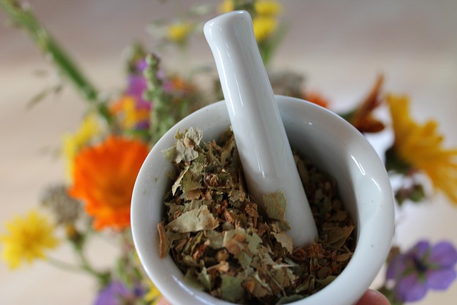 Naturopathe niort : santé holistique et conseils personnalisés