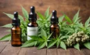 CBD discount : choisissez bien votre boutique en ligne