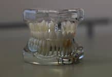 Chirurgien dentiste : tout savoir sur le rôle de votre prothésiste dentaire