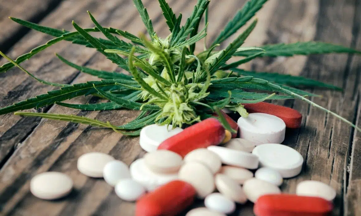 Certaines pharmacies désormais habilitées à délivrer du cannabis thérapeutique