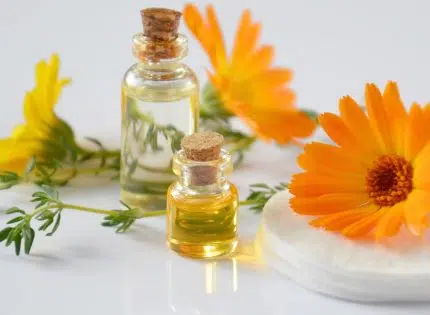 Huile essentielle immortelle d’hélichryse : une huile miraculeuse aux multiples bienfaits !