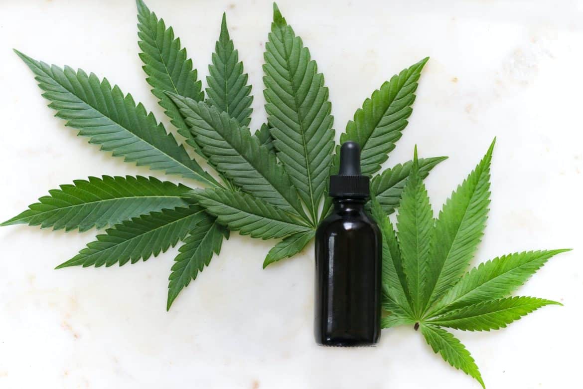 Feuilles de chanvre et huile de CBD