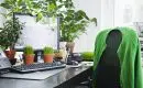 Purifier l’air à son bureau une nécessité pour sa santé