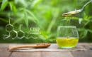 CBD : tout savoir sur cette substance !