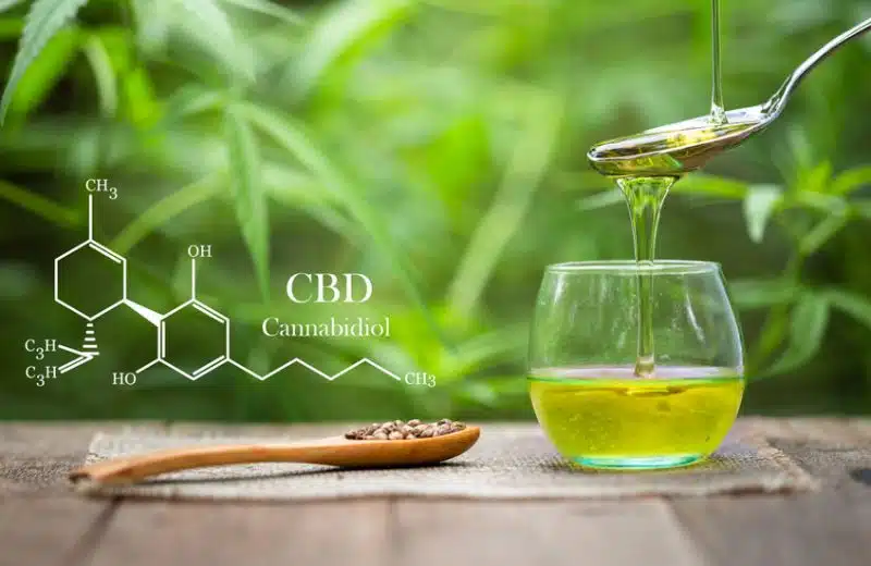 CBD : tout savoir sur cette substance !