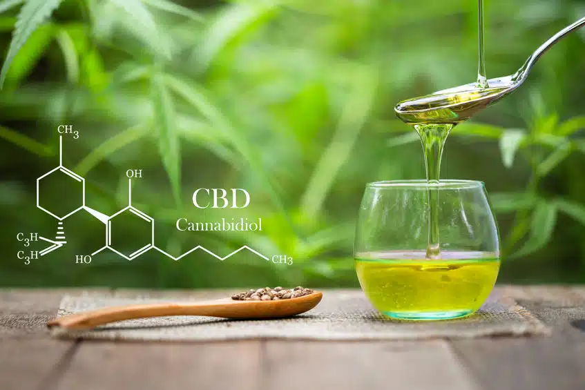 CBD : tout savoir sur cette substance !