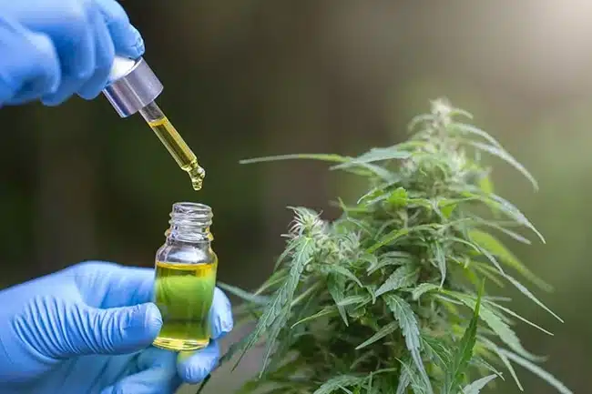 Quels sont les avantages du CBD pour la santé ?