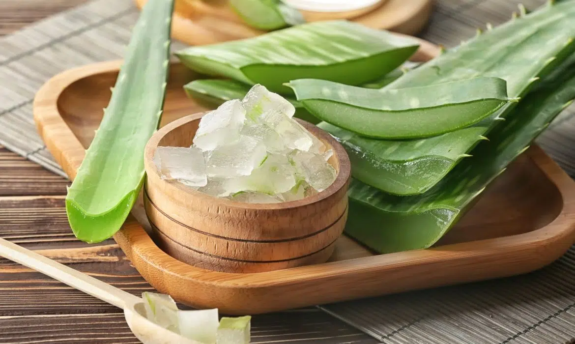 Comment se soigner grâce au gel d’aloe vera ?