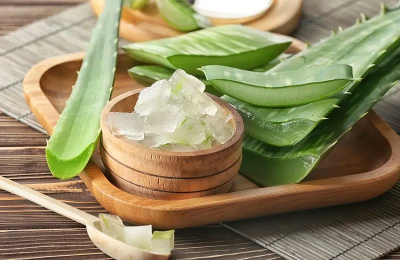 Comment se soigner grâce au gel d’aloe vera ?