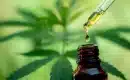Le CBD peut aider à traiter les métastases cancéreuses