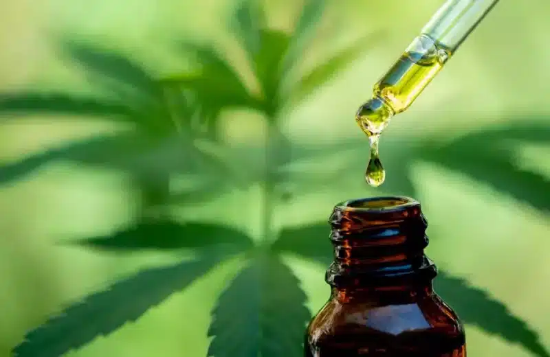 Le CBD peut aider à traiter les métastases cancéreuses