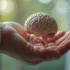 Main tenant un modèle 3D du cerveau en lumière naturelle