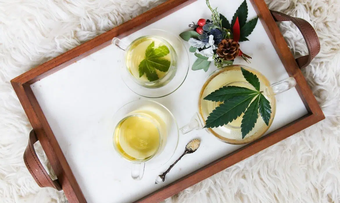 L’alimentation affecte-t-elle l’absorption du CBD ?