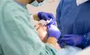 Quel cursus suivre pour devenir orthodontiste ?