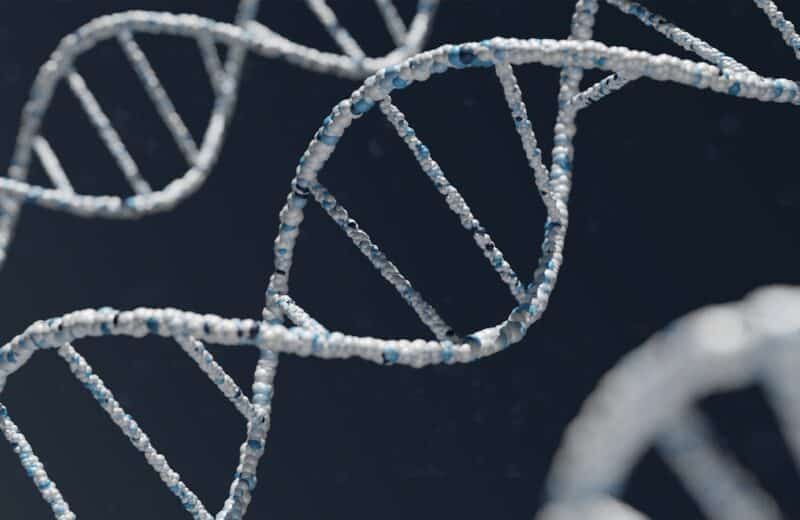 Fibromes et sarcomes : l’ADN, nouveau détective en oncologie