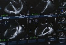 Quel suivi est réalisé chez la femme enceinte ?